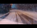 Björk - Antarctic Return - G. Barboglio Björk - Antarctic Return