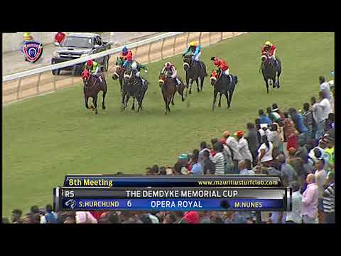 Winners of the day - 8th Meeting 2019 Season