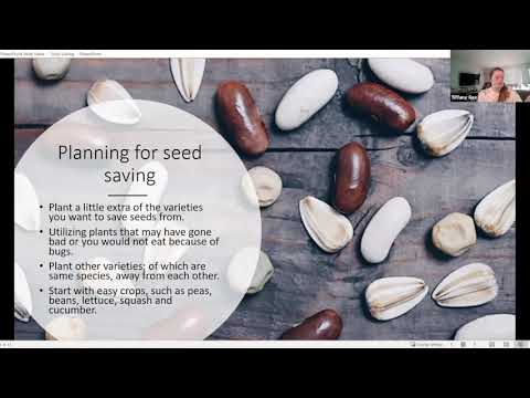 Video preview: Seed Saving Webinar