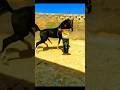 Mating Of Purebred Arabian Horses Horses Animals Shorts
