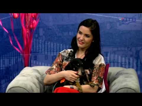 Dunavsko popodne 06.5 - gosti Udruženje za zaštitu životinja Dobra nada