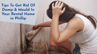 Tips To Get Rid Of Damp & Mould In Your Rental Home in Phillip