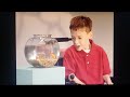 Elmo S World Pets Kids Baby