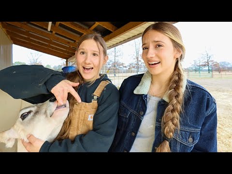 Spend An Evening On the Farm With Us! Finishing up some work.