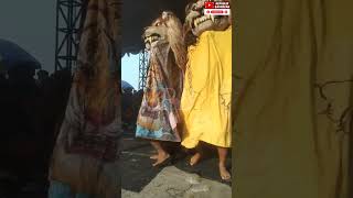 Download lagu singo Kusumo Joyo from Kalirejo kangkung #republik_barongan mp3