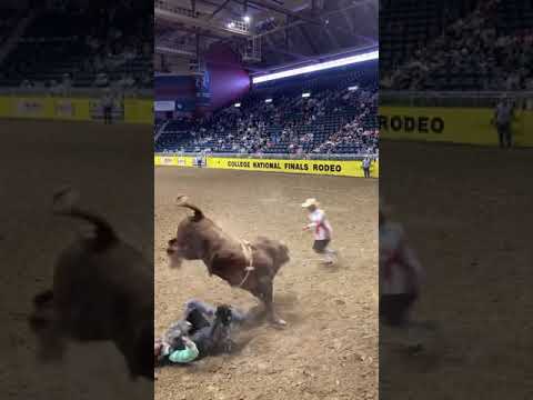 62 Red Rascal,  Mason Ward,  Casper 2021