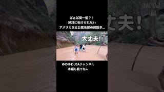 【アメリカ在住日本人家族】ばぁば間一髪?!絶対に転けられない…アメリカ ザイオン国立公園大人気の川を歩くトレイルが過酷すぎました