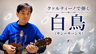 Download lagu 白鳥(サン=サーンス)Saint-Saëns : The Swan (Le Cygne) mp3 Download lagu 白鳥(サン=サーンス)Saint-Saëns : The Swan (Le Cygne) mp3