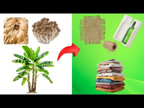 Eco Friendly Production: The Future of Sustainable Manufacturing