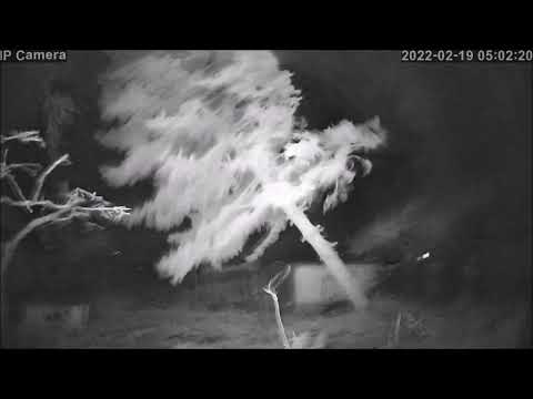 Orkan ORKANTIEF ZEYNEP  zieht über Herzfelde in Brandenburg  19.02.2022