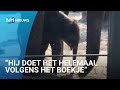 Baby olifantje uit Artis stapt voor het eerst naar buiten.ph