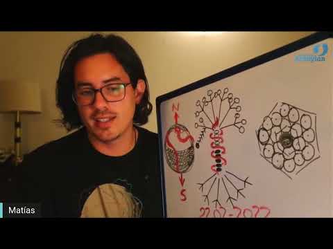 Day 341 SEED - Matias De Stefano - English Edit