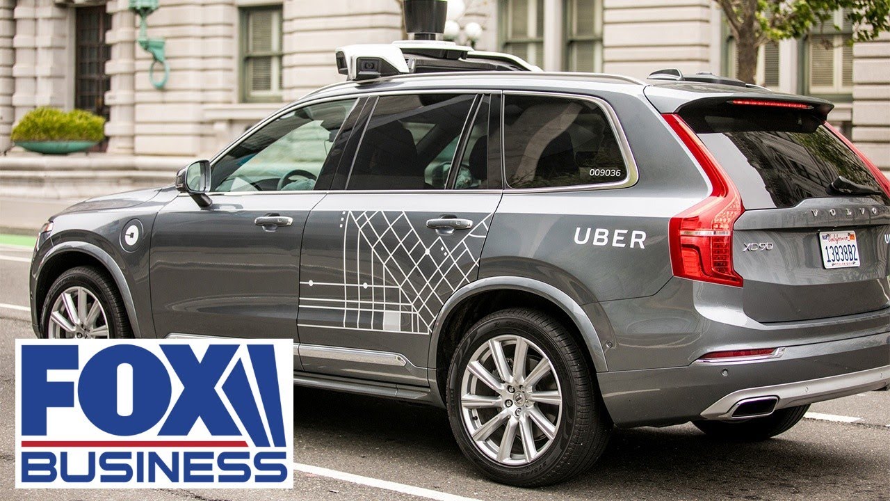 'MISUNDERSTOOD STORY': Stock picker reveals which business has become highly profitable