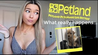 Confessions of a Petland Employee!!