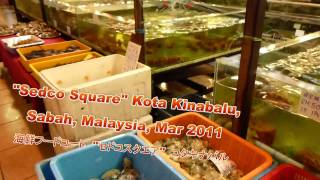 preview picture of video 'FullHD Sedco Complex  Kota Kinabalu 2011 コタキナバル セドコスクエア'