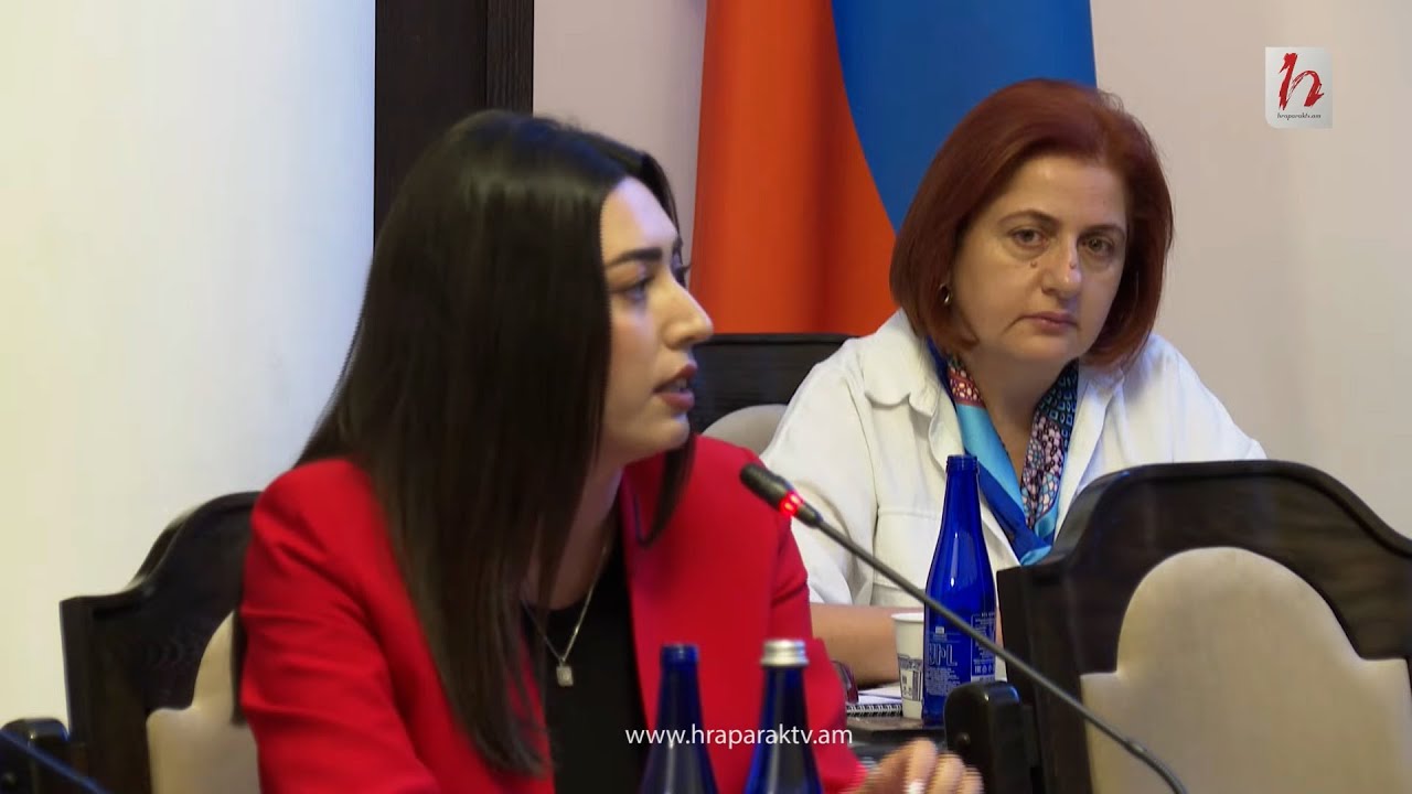 193 տրանսպորտային միջոց է վնասվել ջրհեղեղի հետևանքով, ինչը 100%-ով փոխհատուցելու ենք. ՆԳՆ փոխնախարար