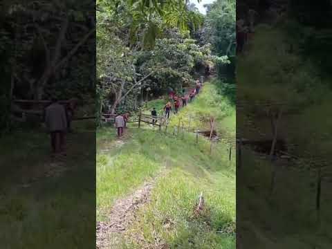 Guarani, Amaturá (Am) #desaparecido #amazonas #noticias