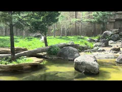 アラベラ・キーズバウアーは9月のテレビ復帰を祝う