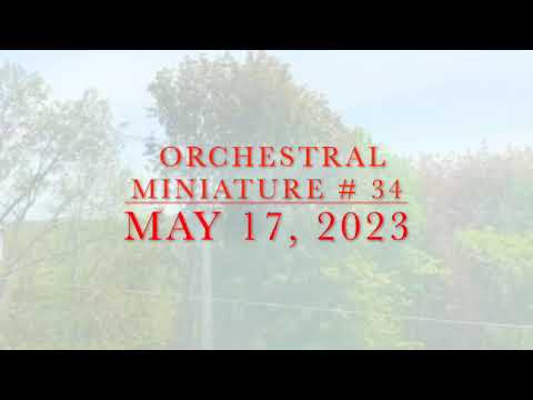 Orchestral Miniature # 34