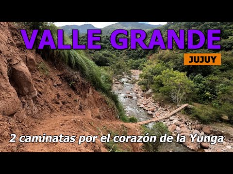 VALLE GRANDE, JUJUY 🟠 2 caminatas por el corazón de la YUNGA jujeña 🎵 entre paisajes deslumbrantes