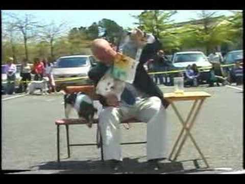 Grock's (my dog) Last Performance