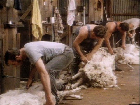 (MOJO Classics) Tooheys Country Special Beer "Shearing" Ad - 1982
