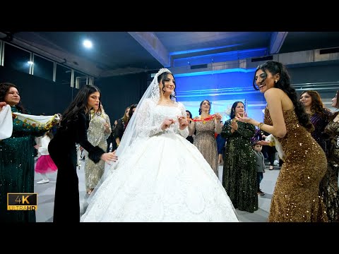 Hakim Lokman - Cengiz ê Barzan | Diyar & Pelin | Part05 | Zoom Events | 4K | by #dliarfilmproduction