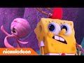 Kamp Koral | SpongeBob vangt voor het eerst een kwal! | Nickelodeon Nederlands