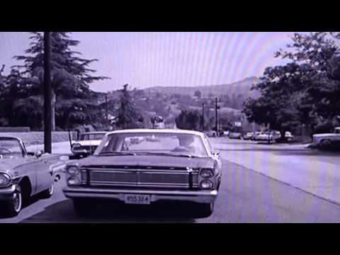 1963 : The Fugitive : David Janssen