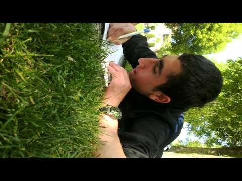 Joaquin & Hitap Pion X - Tek Mermi [2012]