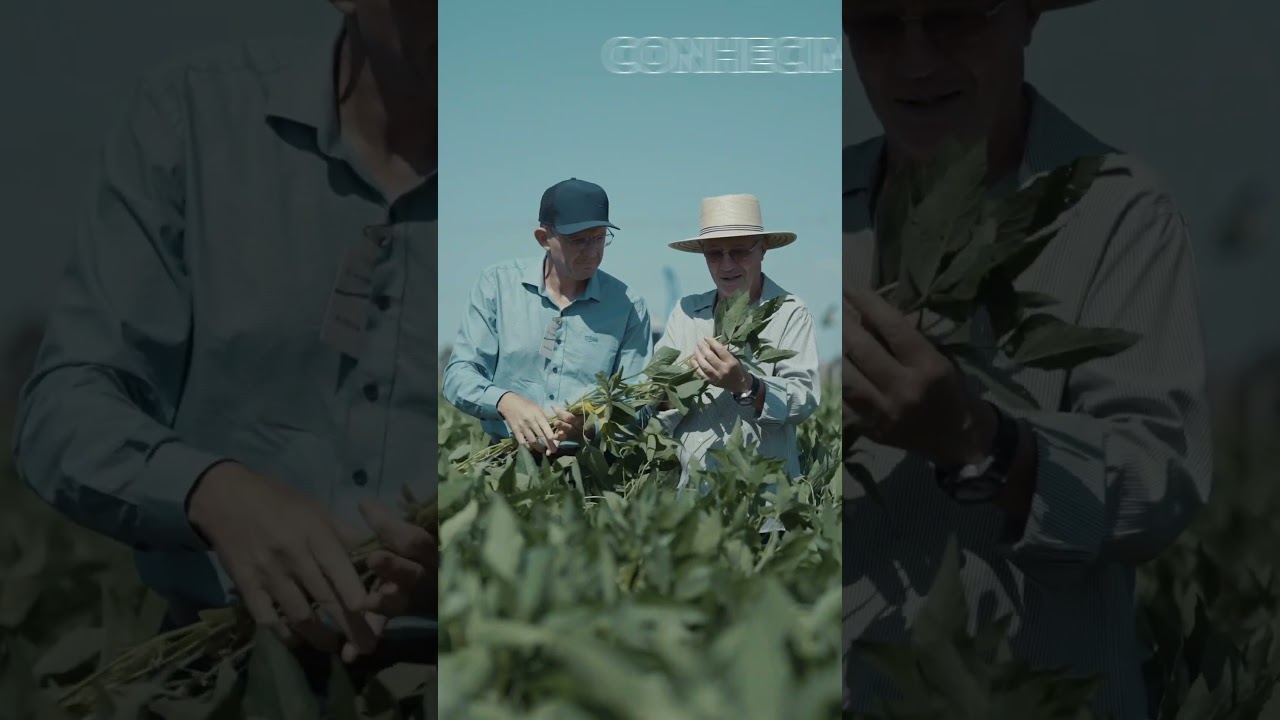 Dia de Campo 2025/26