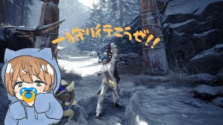珠集めとかとか！！~MHW:I~