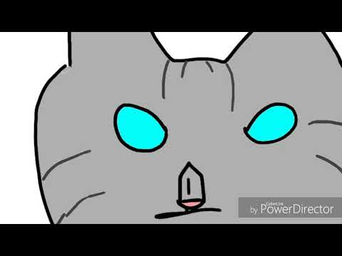 Jayfeather is blind