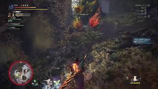 [#MHWI配信] 久々アイスボーン