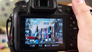 Sony RX10 IV - More Focus Settings - Pre-AF, Eye-AF, Back Focus, and More...