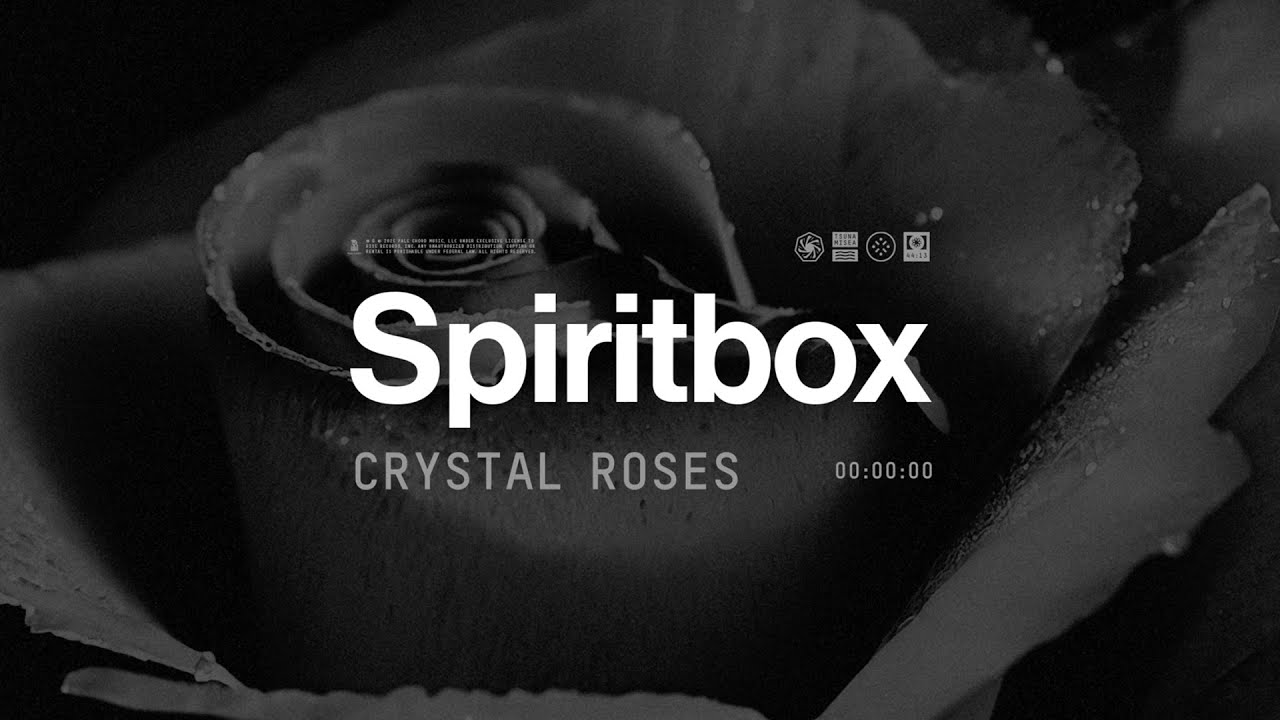 Spiritbox - Crystal Roses (Official Visualizer)