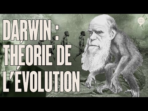 EVOLUTION: A theory that hides a heavy secret… 🤯 | HNLD #289 with @toujours_vivants