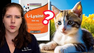 Congested Cat? Should You Give Lysine? Learn All About Feline Upper Respiratory Infections | Dr. Em