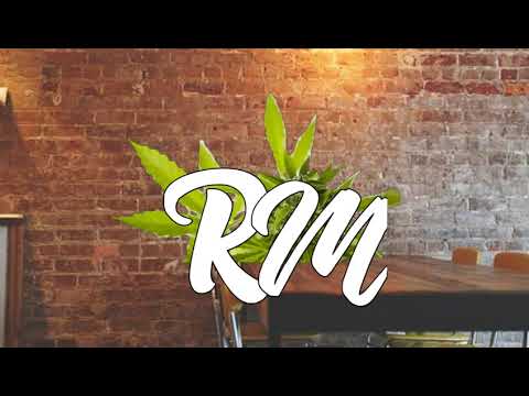 WILSAH FT SYSY 873 GORGE