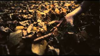 Katatonia - Day And Then The Shade