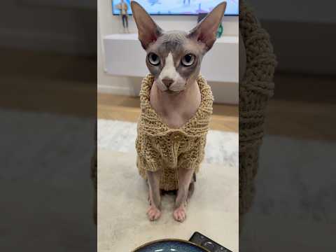 Продолжает удивлять😁