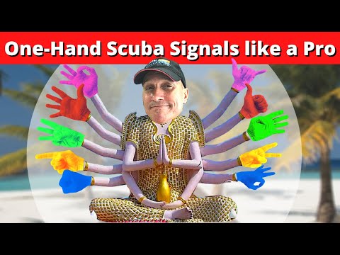 One-handed Scuba Signals - Signal Numbers like a Pro - (How Divers Communicate, Dive Signals) - Hand