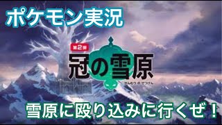 ポケモン実況　冠の雪原