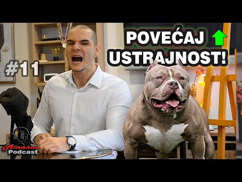 KAKO NASTAVITI ZAPOČETO I USTRAJATI U OSTVARENJU SVOJIH CILJEVA - AMANOV Podkast # 11