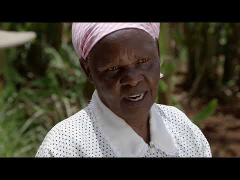 Shamba Shape Up Sn 11 - Ep 1: Soil Test, Intercropping, Forage and Solar Irrigation System (English)