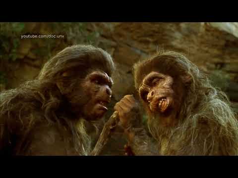 L'odyssée de l'espèce (extrait) : la découverte de l'outil