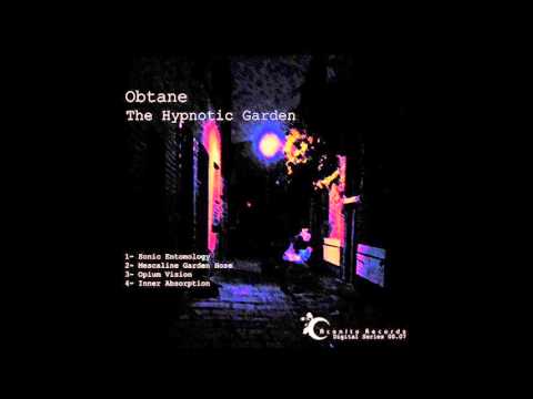 Obtane - Inner Obsorbtion