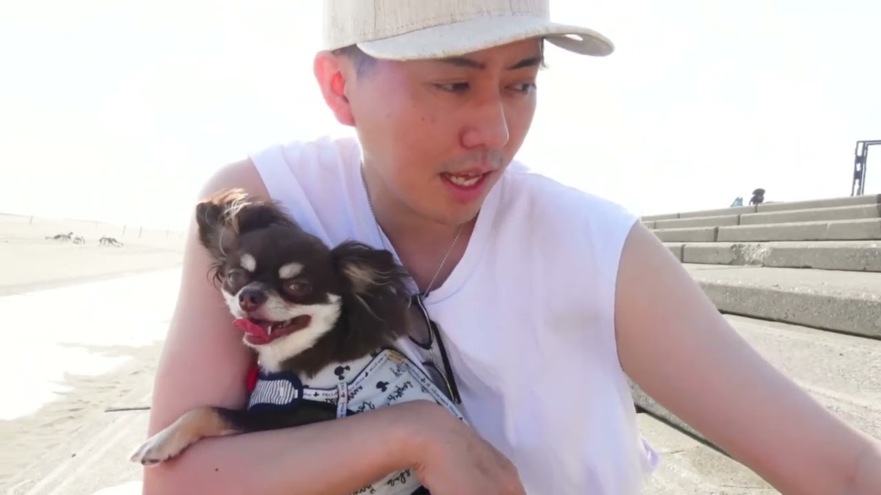 夏だ、海だ！！