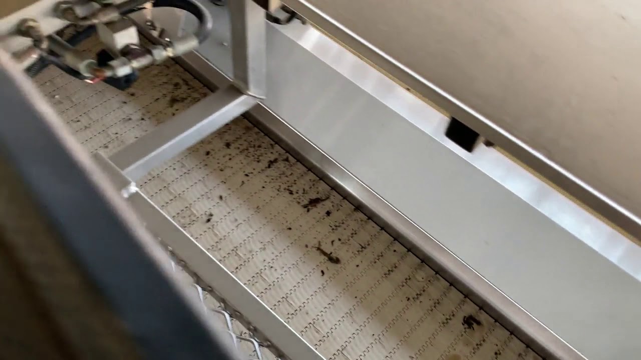 Littau harvester OR самоходный ягодо-уборочный