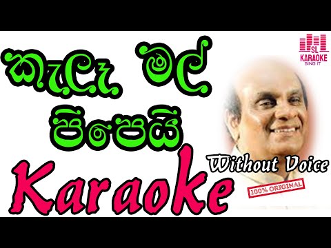 Kale Mal Pipi | කැලෑ මල් පිපෙයි | Sunil Edirisinghe | Karaoke | Without Voice